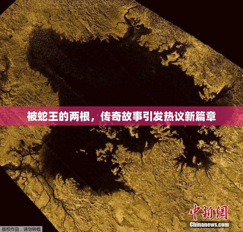 被蛇王的两根，传奇故事引发热议新篇章