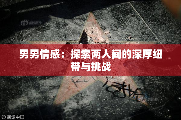 男男情感：探索两人间的深厚纽带与挑战