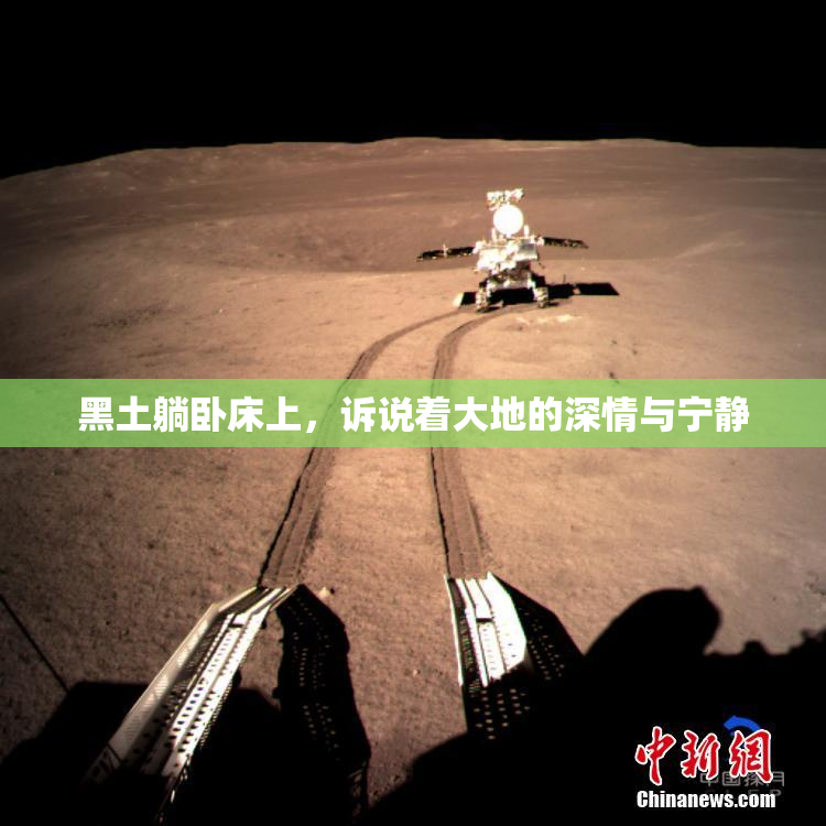 黑土躺卧床上，诉说着大地的深情与宁静