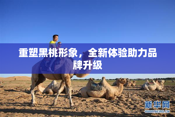 重塑黑桃形象，全新体验助力品牌升级