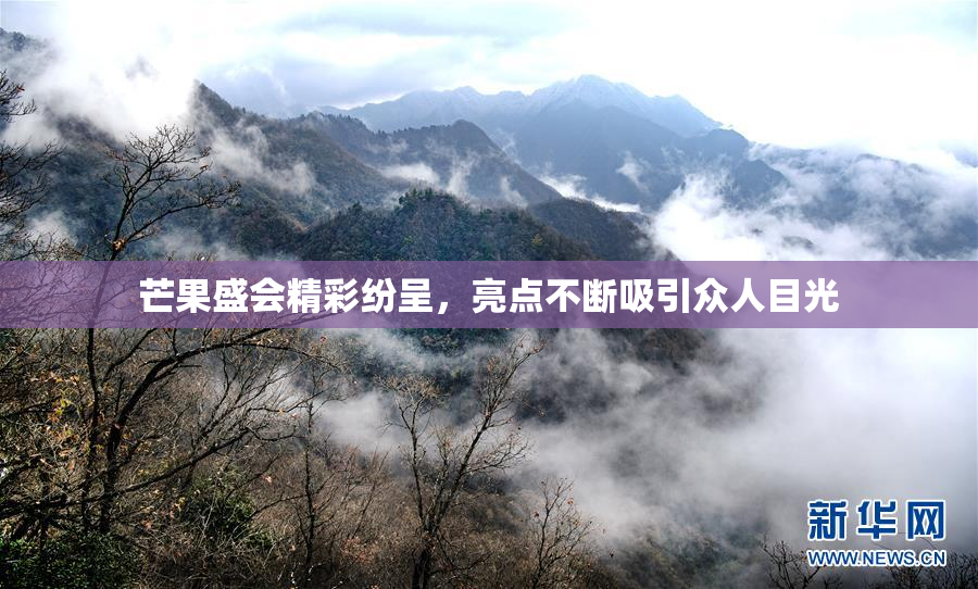 芒果盛会精彩纷呈，亮点不断吸引众人目光