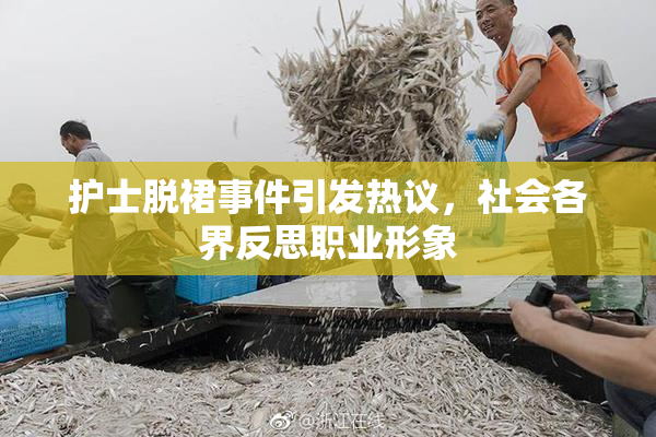 护士脱裙事件引发热议，社会各界反思职业形象