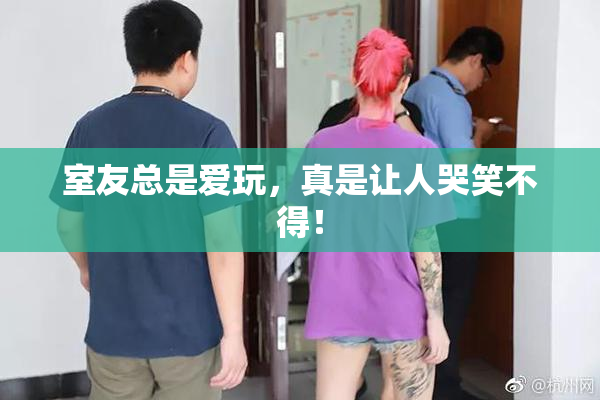室友总是爱玩，真是让人哭笑不得！