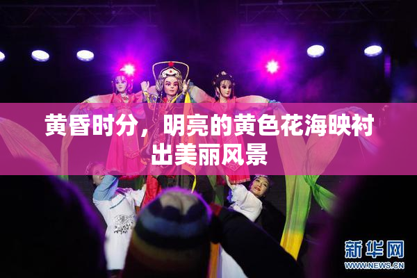 黄昏时分，明亮的黄色花海映衬出美丽风景