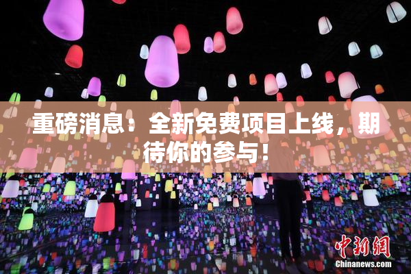 重磅消息：全新免费项目上线，期待你的参与！