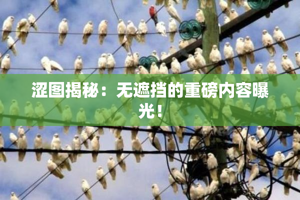 涩图揭秘：无遮挡的重磅内容曝光！