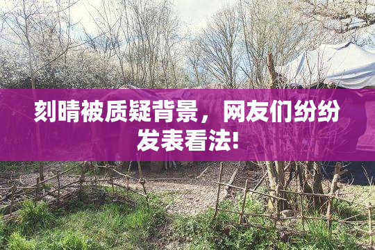 刻晴被质疑背景，网友们纷纷发表看法!