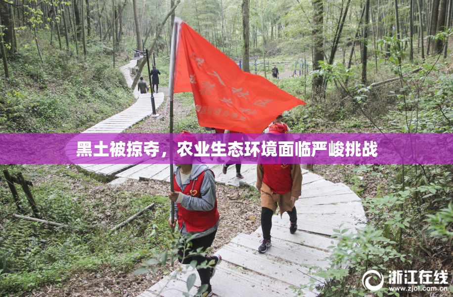 黑土被掠夺，农业生态环境面临严峻挑战