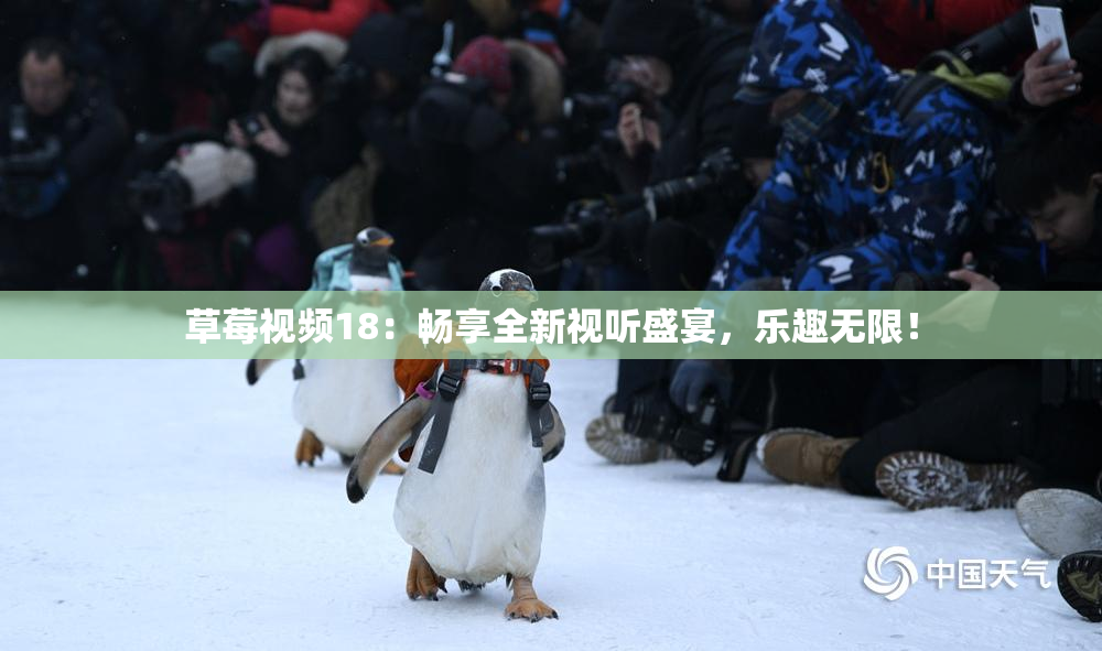 草莓视频18：畅享全新视听盛宴，乐趣无限！