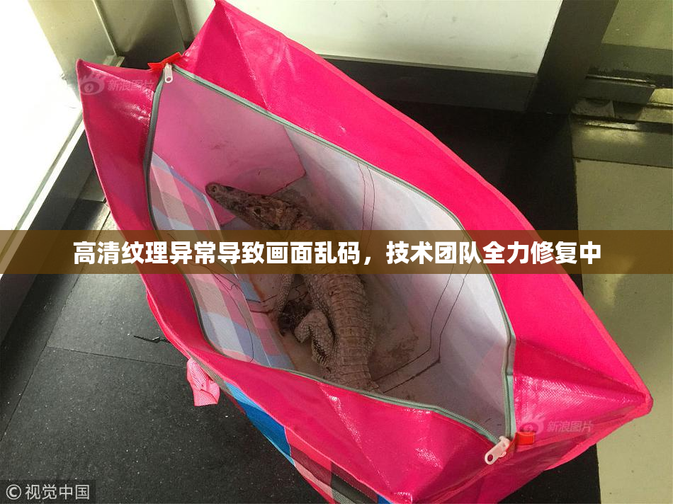高清纹理异常导致画面乱码，技术团队全力修复中