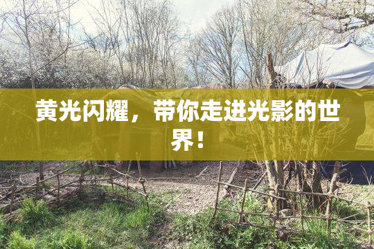 黄光闪耀，带你走进光影的世界！