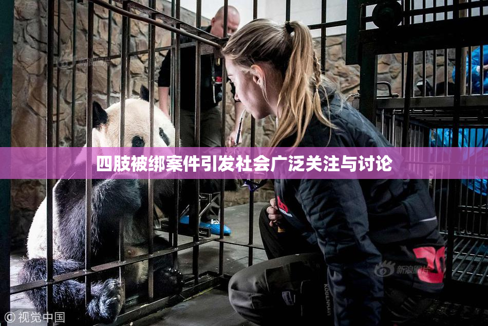 四肢被绑案件引发社会广泛关注与讨论