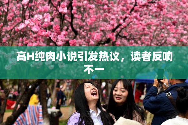 高H纯肉小说引发热议，读者反响不一