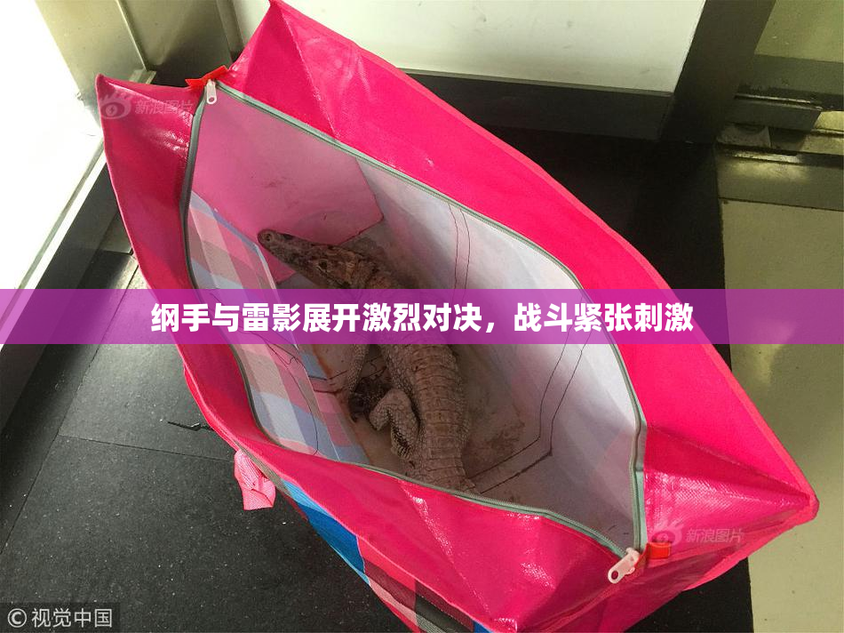 纲手与雷影展开激烈对决，战斗紧张刺激