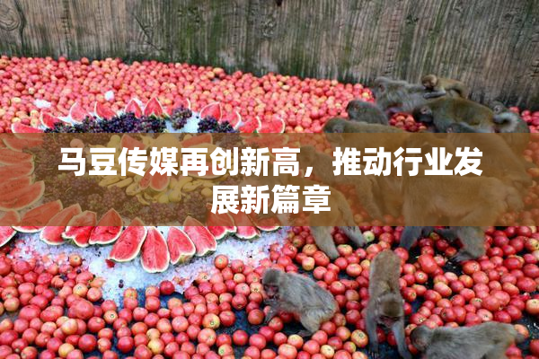 马豆传媒再创新高，推动行业发展新篇章