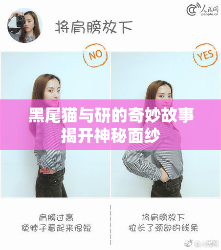 黑尾猫与研的奇妙故事揭开神秘面纱