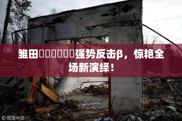 雏田❌‌❌‌❌‌强势反击β，惊艳全场新演绎！
