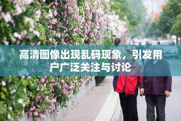 高清图像出现乱码现象，引发用户广泛关注与讨论