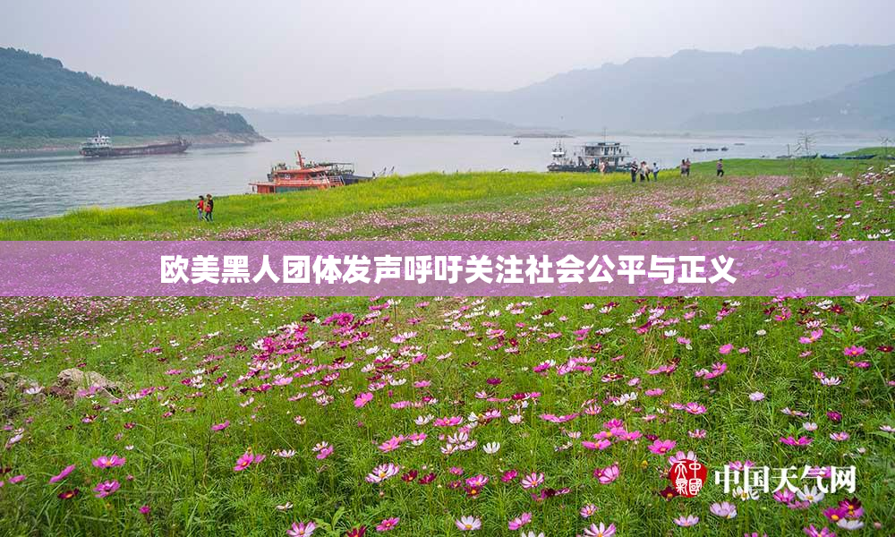 欧美黑人团体发声呼吁关注社会公平与正义