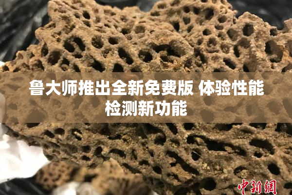 鲁大师推出全新免费版 体验性能检测新功能