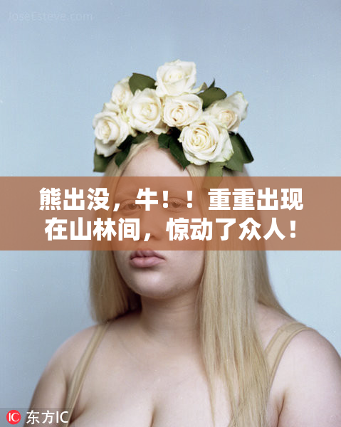 熊出没，牛！！重重出现在山林间，惊动了众人！