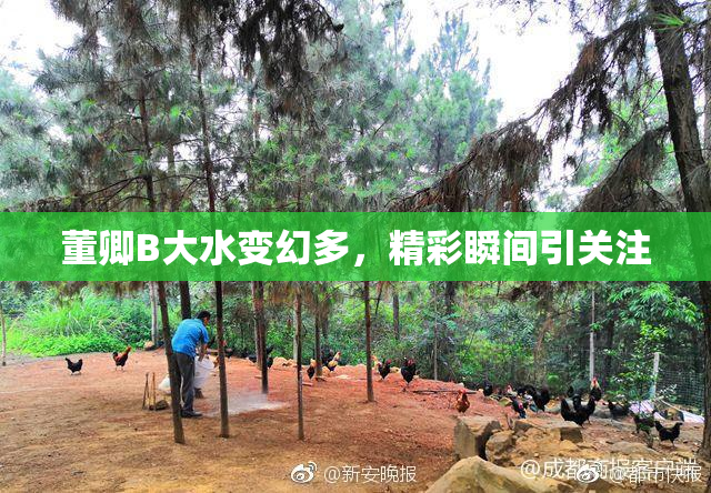 董卿B大水变幻多，精彩瞬间引关注