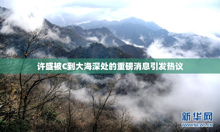 许盛被C到大海深处的重磅消息引发热议