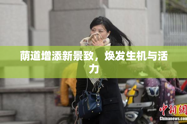 荫道增添新景致，焕发生机与活力