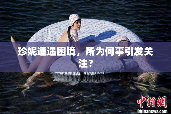 珍妮遭遇困境，所为何事引发关注？