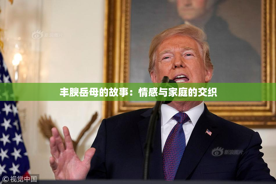 丰腴岳母的故事：情感与家庭的交织