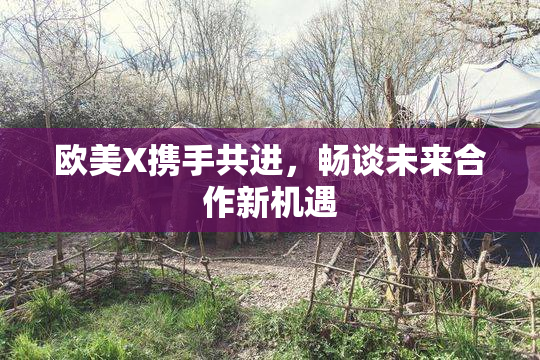 欧美X携手共进，畅谈未来合作新机遇