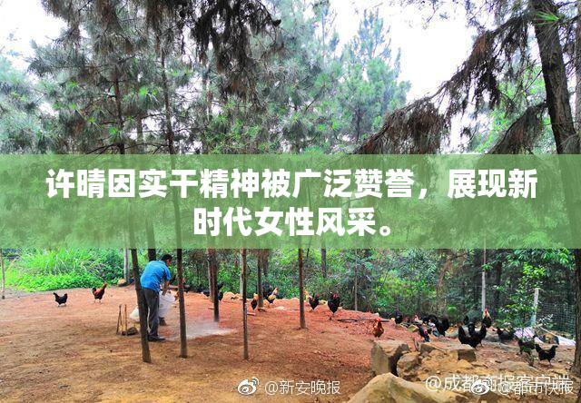 许晴因实干精神被广泛赞誉，展现新时代女性风采。