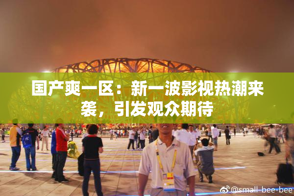 国产爽一区：新一波影视热潮来袭，引发观众期待