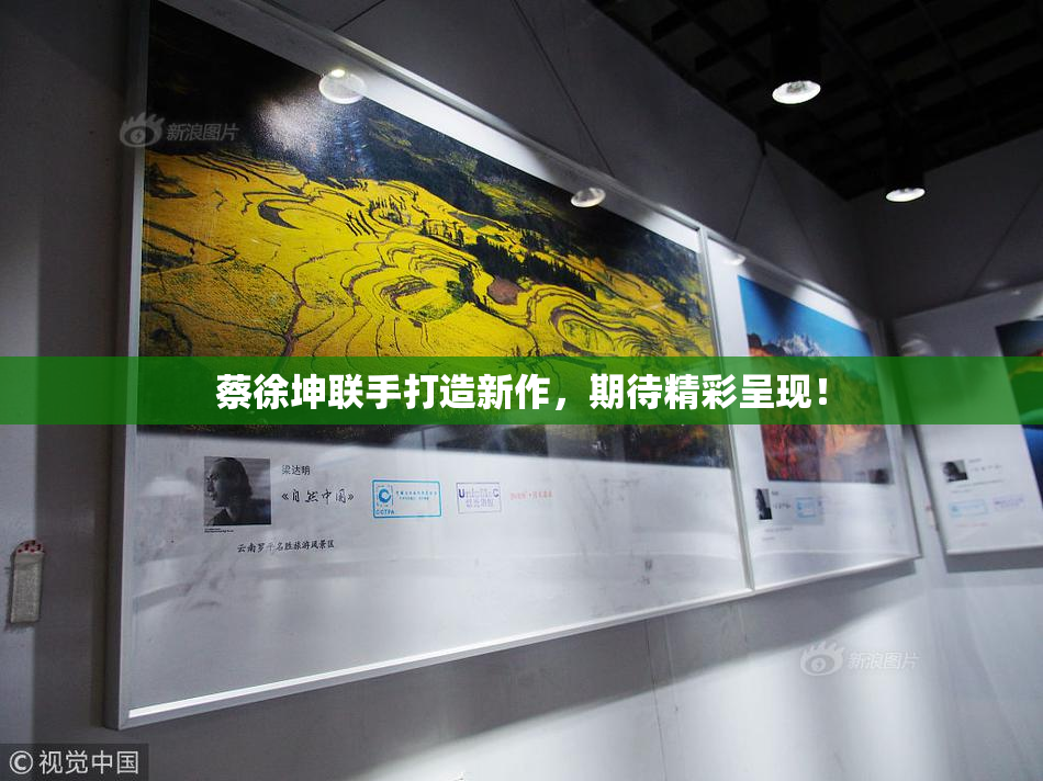 蔡徐坤联手打造新作，期待精彩呈现！