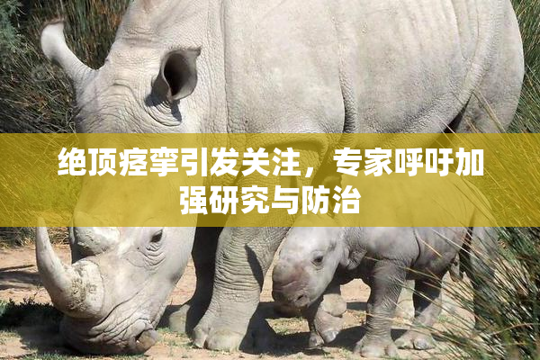 绝顶痉挛引发关注，专家呼吁加强研究与防治