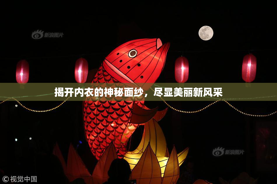 揭开内衣的神秘面纱，尽显美丽新风采