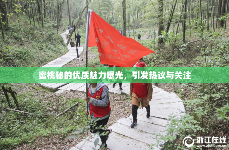 蜜桃秘的优质魅力曝光，引发热议与关注