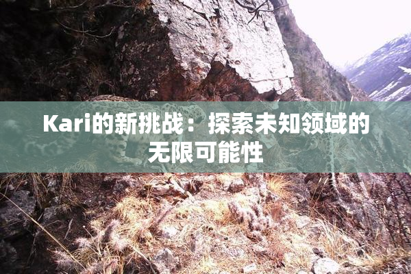 Kari的新挑战：探索未知领域的无限可能性