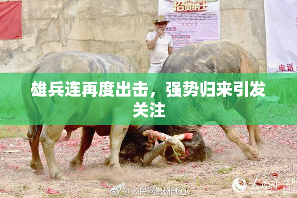 雄兵连再度出击，强势归来引发关注