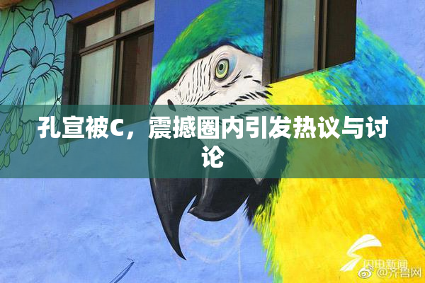 孔宣被C，震撼圈内引发热议与讨论