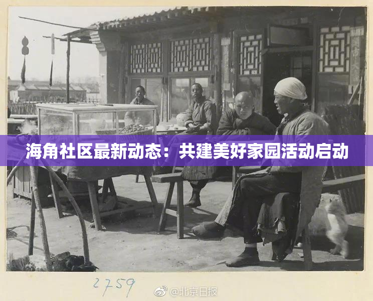 海角社区最新动态：共建美好家园活动启动