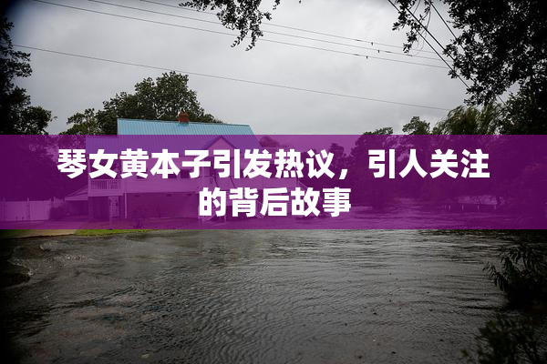 琴女黄本子引发热议，引人关注的背后故事