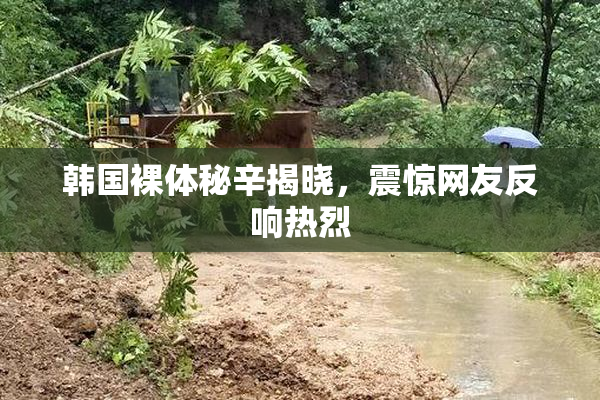 韩国裸体秘辛揭晓，震惊网友反响热烈
