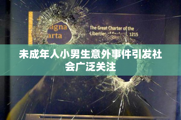未成年人小男生意外事件引发社会广泛关注