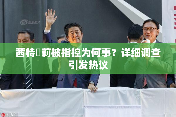 茜特菈莉被指控为何事？详细调查引发热议