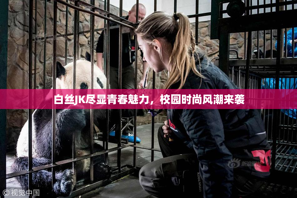 白丝JK尽显青春魅力，校园时尚风潮来袭