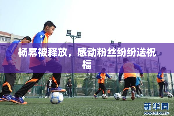 杨幂被释放，感动粉丝纷纷送祝福