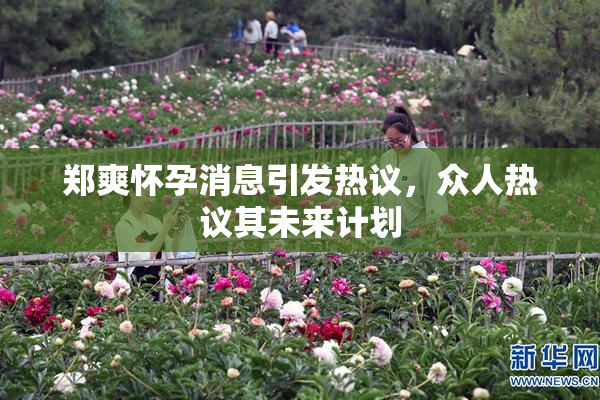 郑爽怀孕消息引发热议，众人热议其未来计划