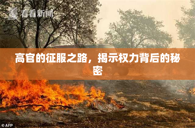 高官的征服之路，揭示权力背后的秘密