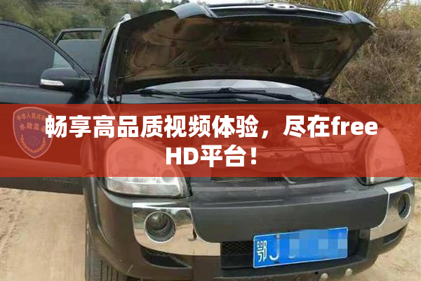 畅享高品质视频体验，尽在freeHD平台！